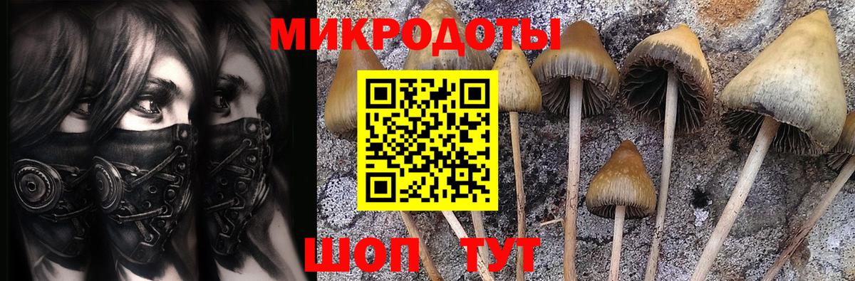 Галлюциногенные грибы мицелий Ижевск